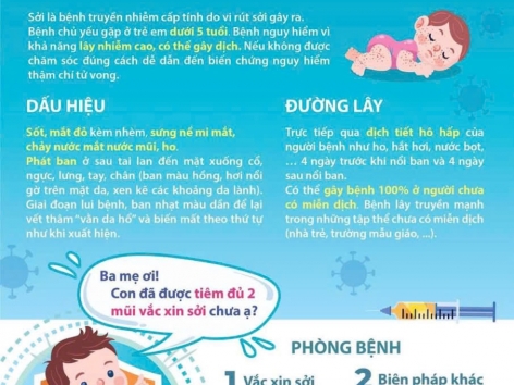 TÌNH HÌNH DỊCH SỞI TÌNH HÌNH DỊCH SỞI